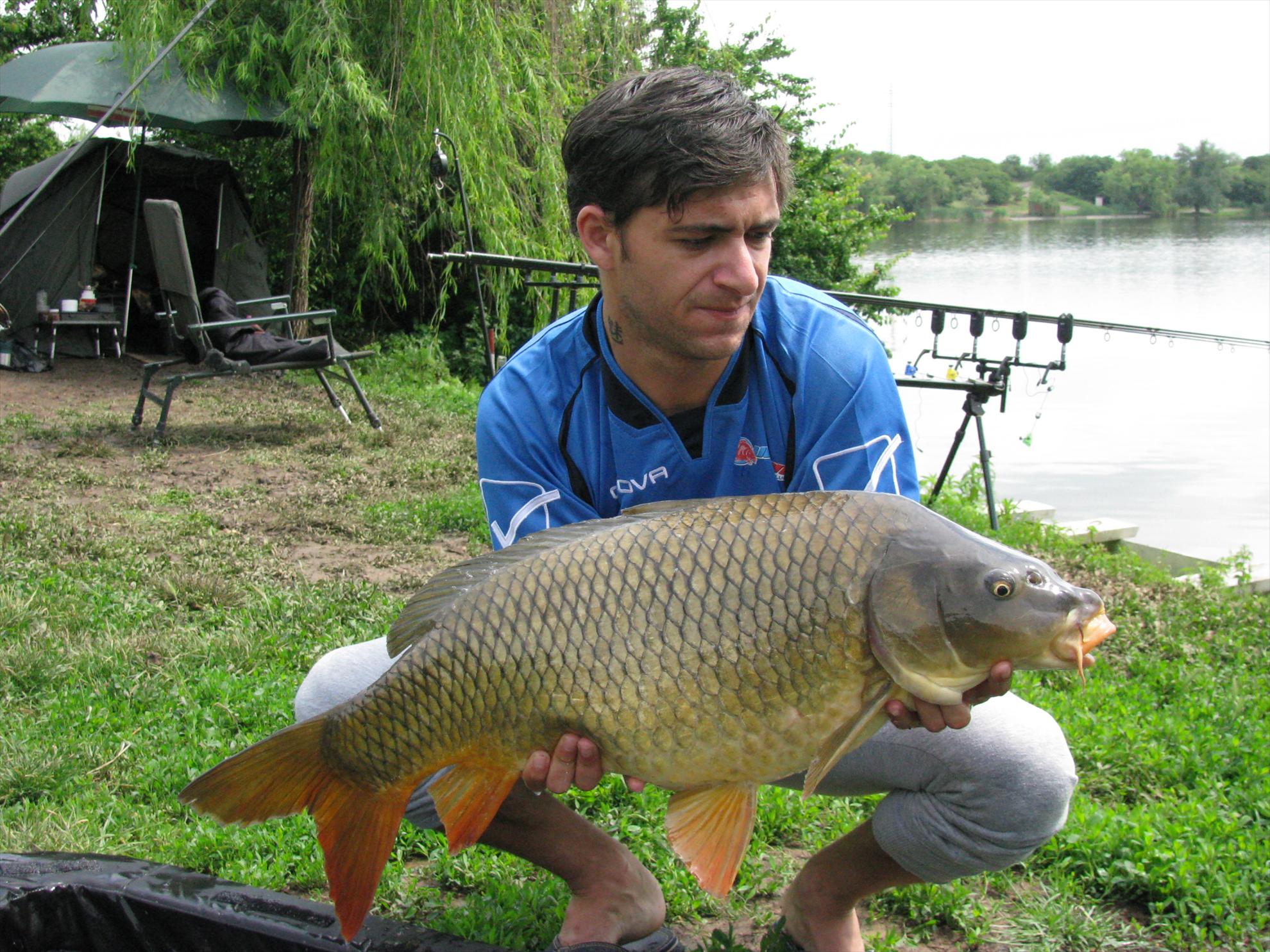 Poze 19-21.05.2012 Tancabesti Avicola 2 - img0152.JPG